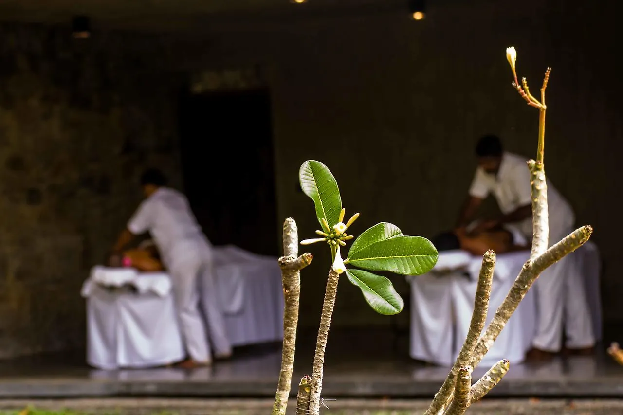 Santani Wellness Kandy Sri Lanka
